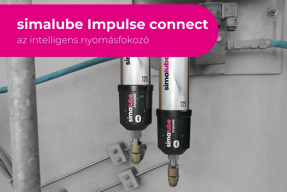 Termékek megtekintése